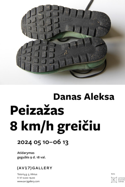 Danas Aleksa personalinė paroda | Peizažas 8 km/h greičiu | 2024/05/08