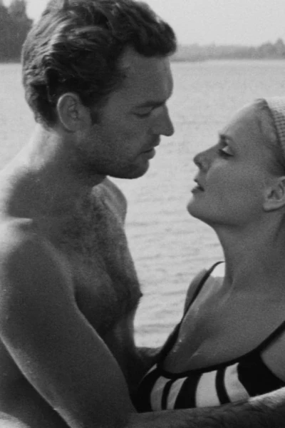 Suaugusių žmonių žaidimai